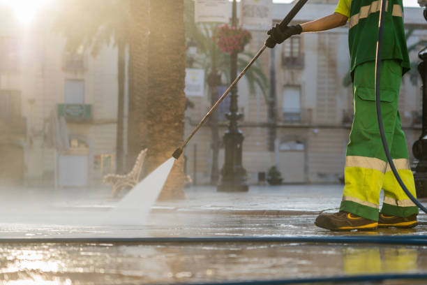 Best Fence Cleaning  in Hobart, IN